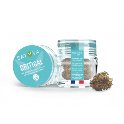 Fleur CBD Critical Satyva 2 gr