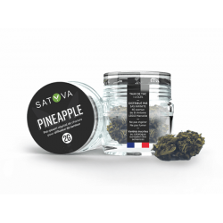Fleur CBD Pineapple Satyva...