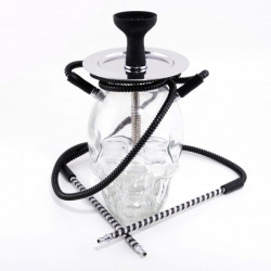 Chicha Skull Transparent 35 cm
