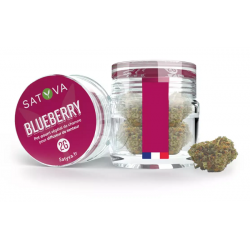 Fleur CBD Blueberry 2 gr
