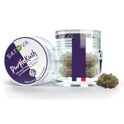 Fleur CBD Purple Kush 2 gr