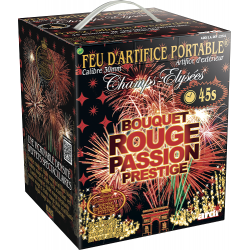Feu d'artifice Portable...