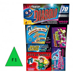 Sachet Ass 70 Artifices...