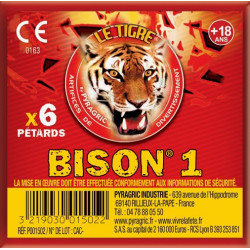 Pétard Bison 1 x40
