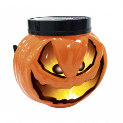 Citrouilles Halloween 200...