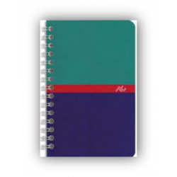 Carnet spirale 11x17  100...