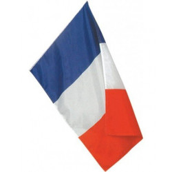 Drapeau FRANCE polyester...