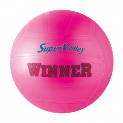 Ballon volley Winner x 12