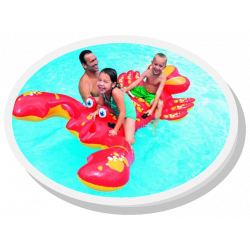 Homard chevauchable 213x173cm