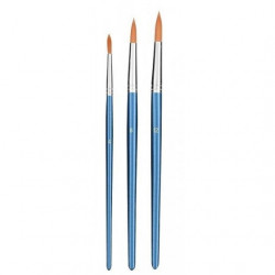 Blister 3 pinceaux assortis