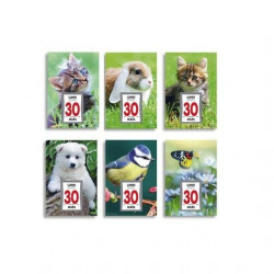 Calendrier éphéméride...