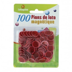 Sachet 100 pions magnétique