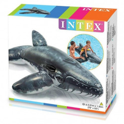 Baleine chevauchable...