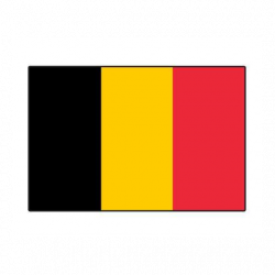 Drapeaux Belgique 9,5 x 16...