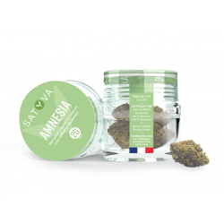 Fleur CBD Amnesia Satyva 2 gr